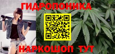 СК Можга