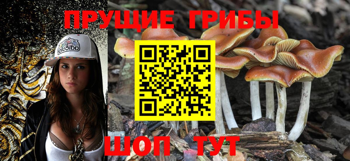 Галлюциногенные грибы Cubensis  Вход с VPN  купить наркоту  Урай  Псилоцибиновые грибы ЛСД 